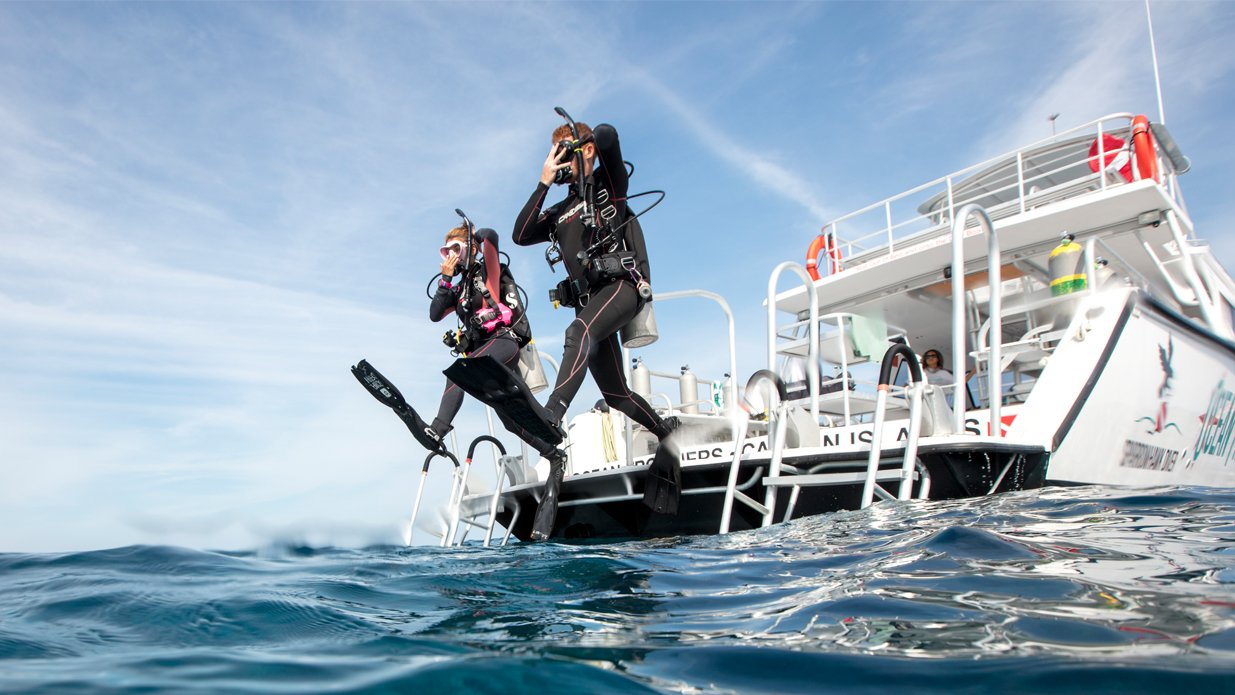 Dive Experiences & Tours