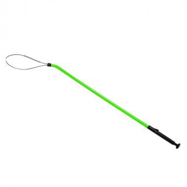 Green Lobster Looper