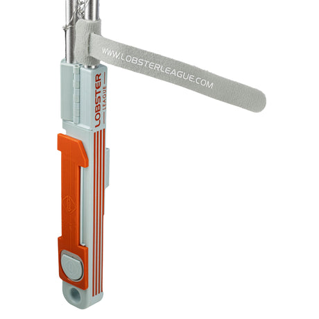 Lobster Measuring Gauge (In Store)