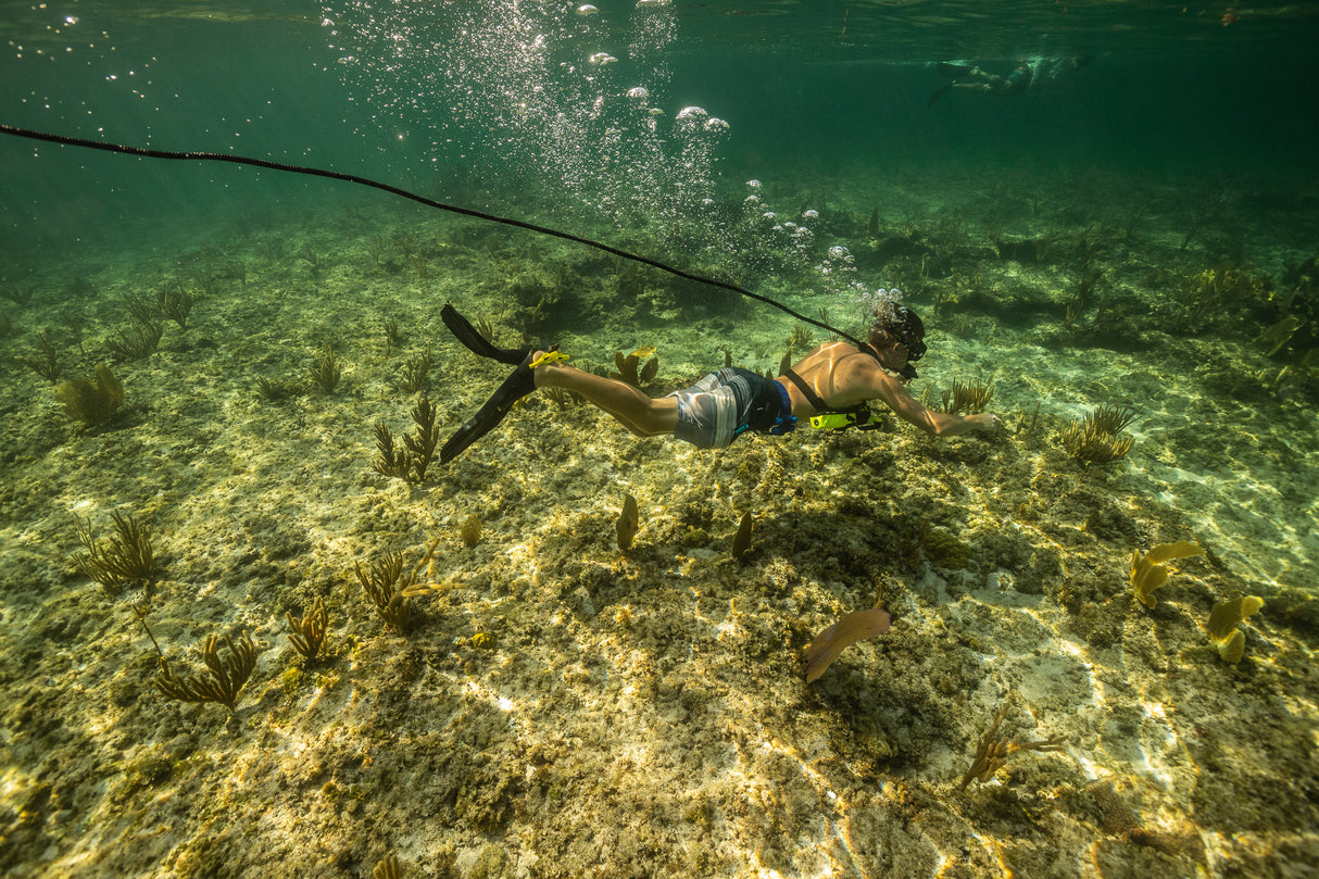 Tankless Diving Guided Shallow Water Tours