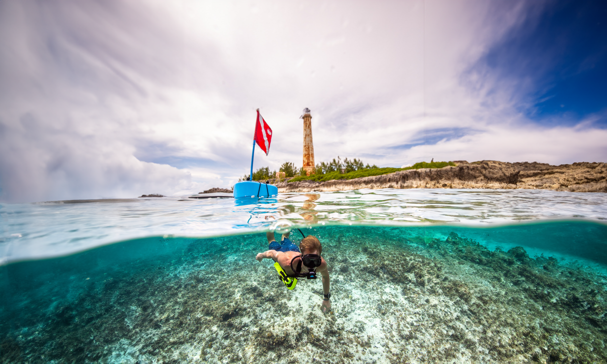 Tankless Diving Guided Shallow Water Tours