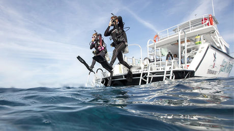 PADI Scuba Dive Reactivate/Refresh Courses