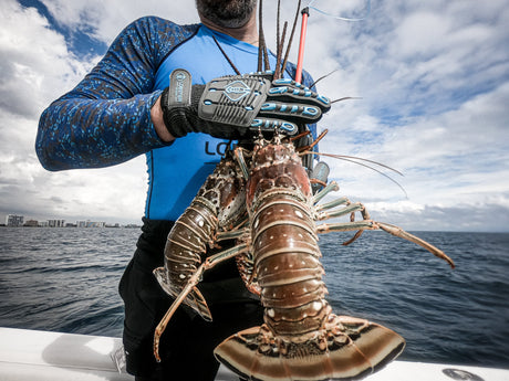 Mastering Lobstering in Lauderdale-by-the-Sea, Florida