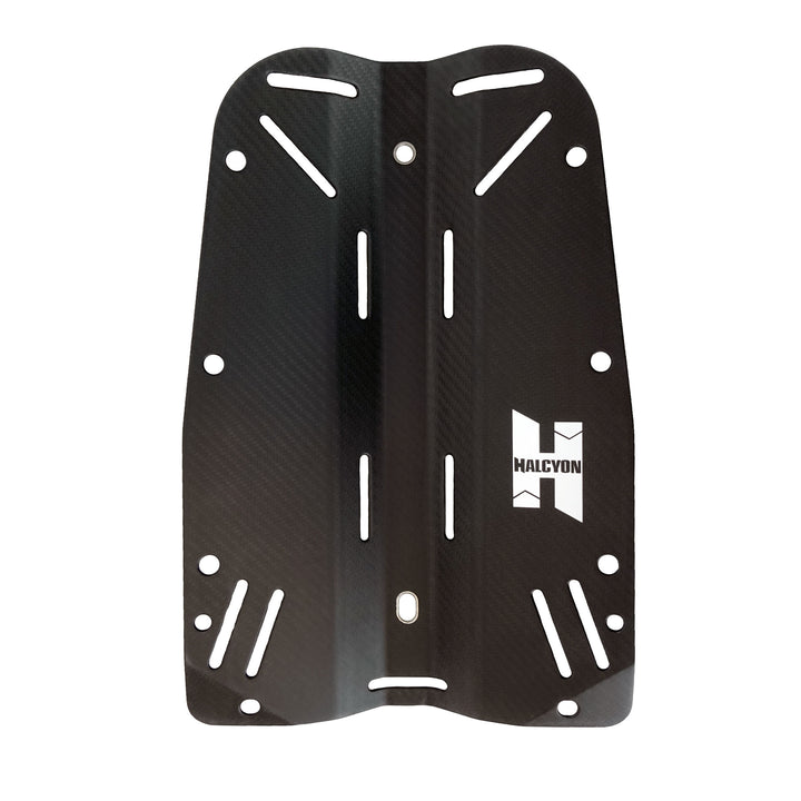 Carbon fiber backplate : Backplate