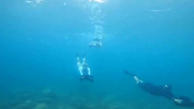 Diver flying an underwater scooter over Anglin's Pier Reef – Gold Coast Scuba DPV course