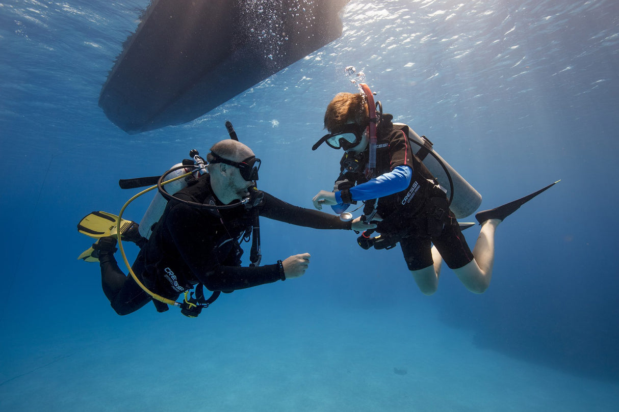 PADI Open Water Checkout or Referral Dives