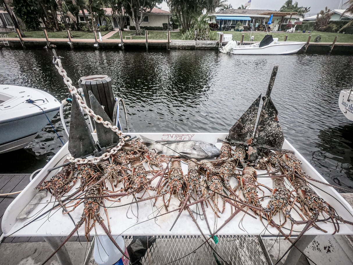 Underwater Hunt Open Water Boat Dive (Pompano/Fort Lauderdale)