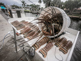 Underwater Hunt Open Water Boat Dive (Pompano/Fort Lauderdale)