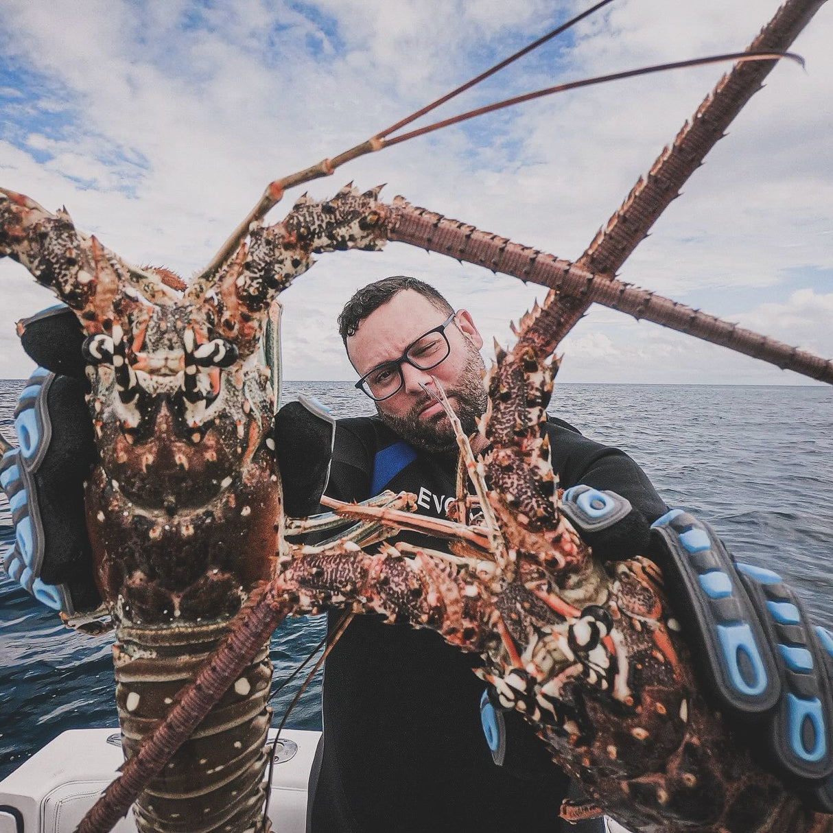 Lobstering Excursion Packages