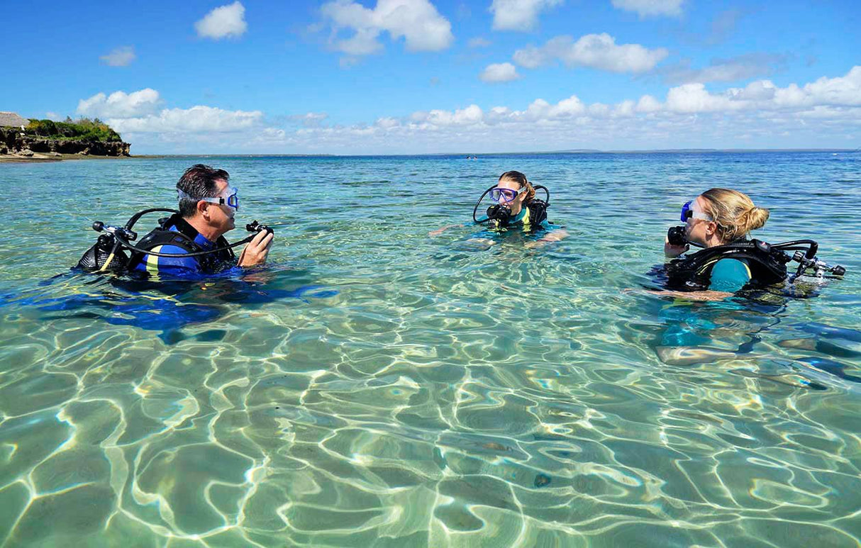 Guided Scuba Diving Tours (Lauderdale-By-The-Sea)