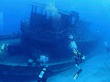 Dive Our Local Wrecks With A Professional Guide