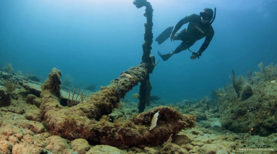 Dive Our Local Wrecks With A Professional Guide