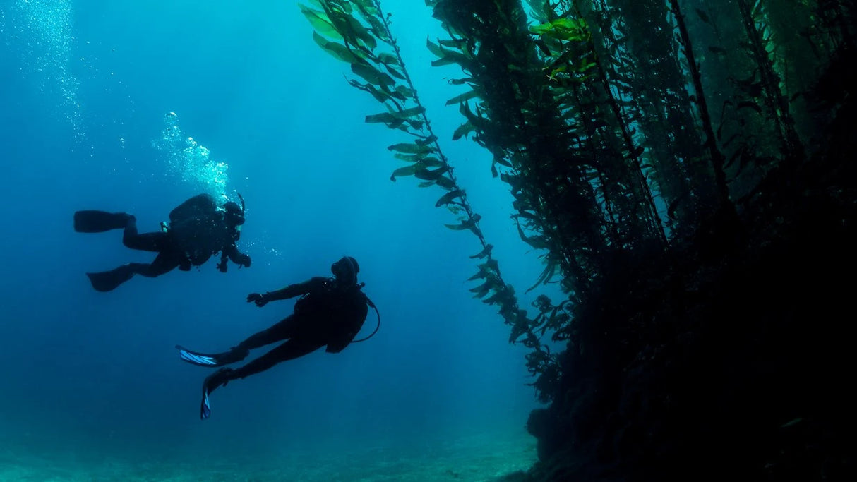 PADI Deep Diver Course