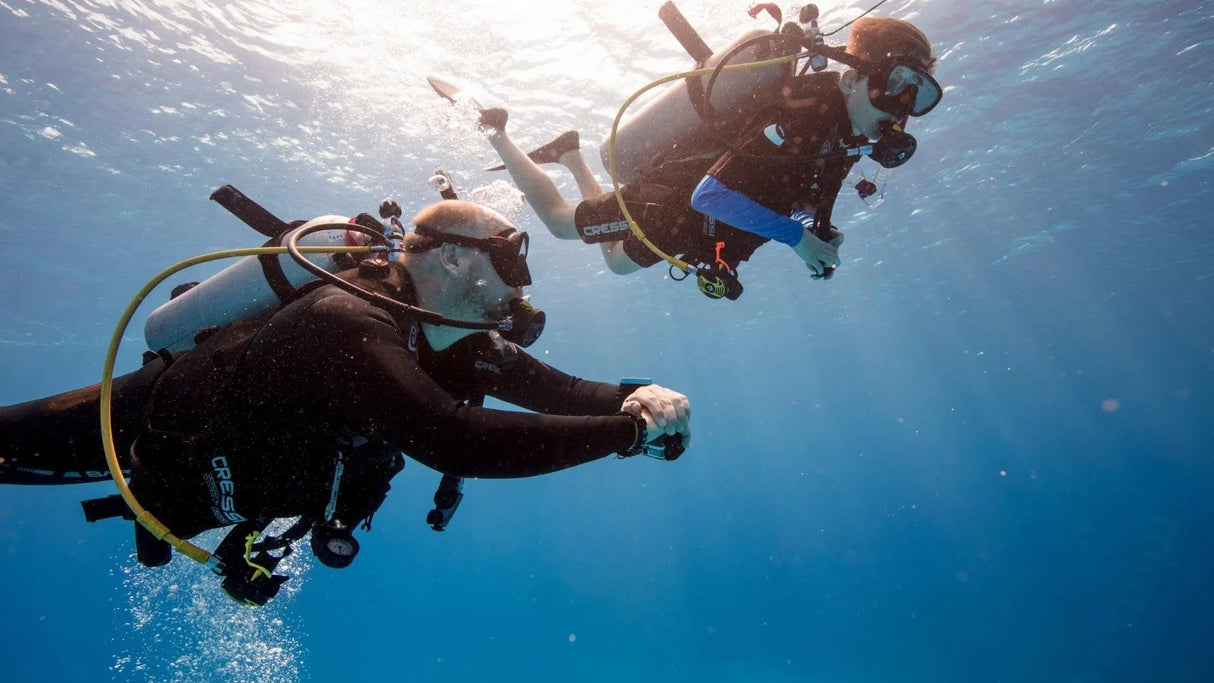 Guided Scuba Diving Tours (Lauderdale-By-The-Sea)