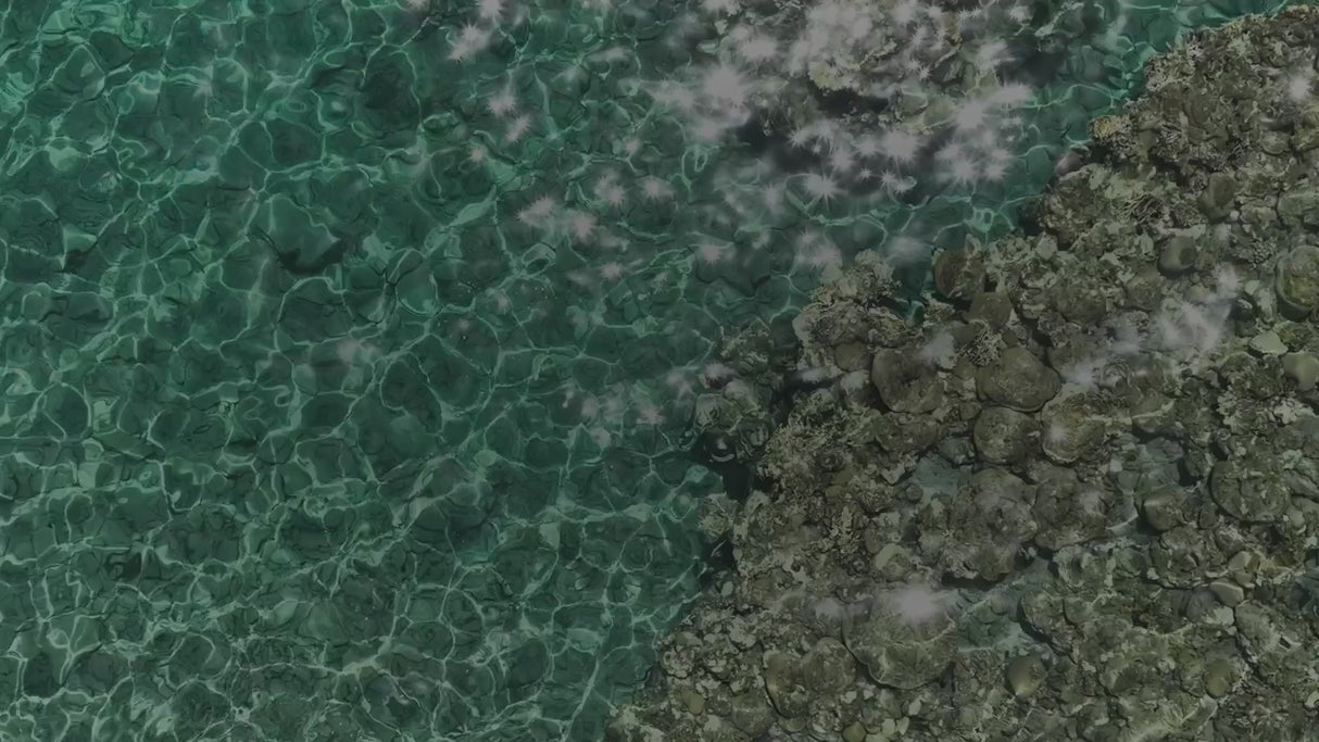 Stream2Sea Coral Care SPF 30 Sunscreen, Promotes Reef Growth