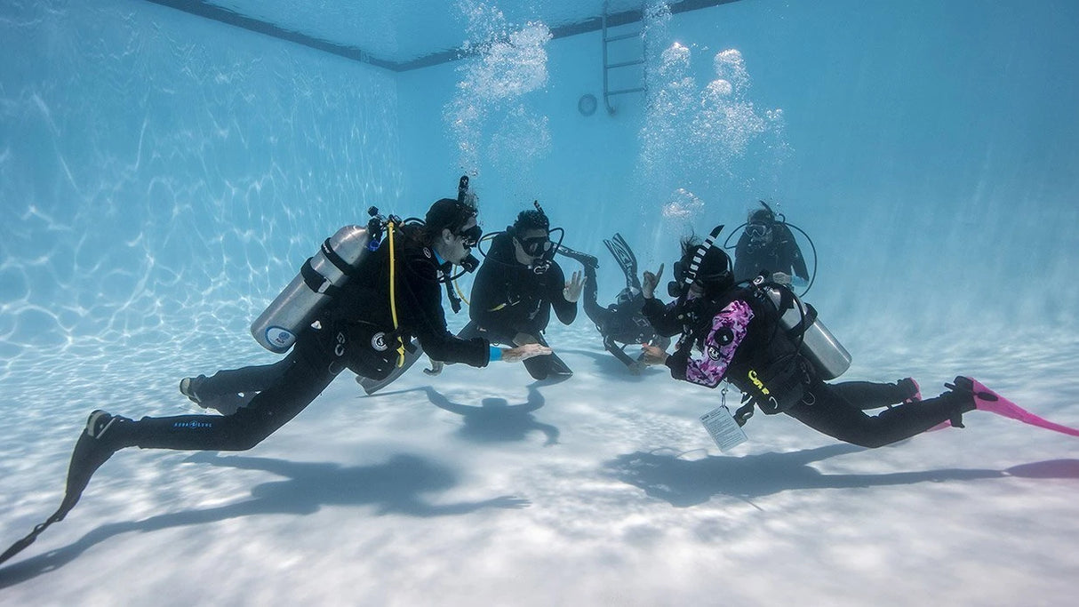 PADI Scuba Dive Reactivate/Refresh Courses