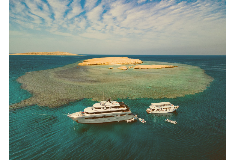 Dive and Explore in the Red Sea (October 19 - 26, 2024)